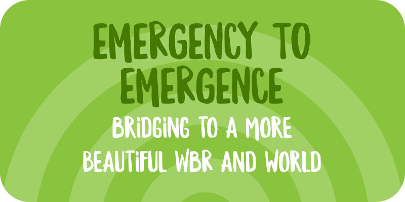 Workshop – Bridging to a more Beautiful WBR & World